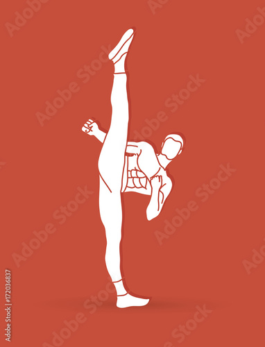 Kung fu, Karate high kick front view graphic vector.