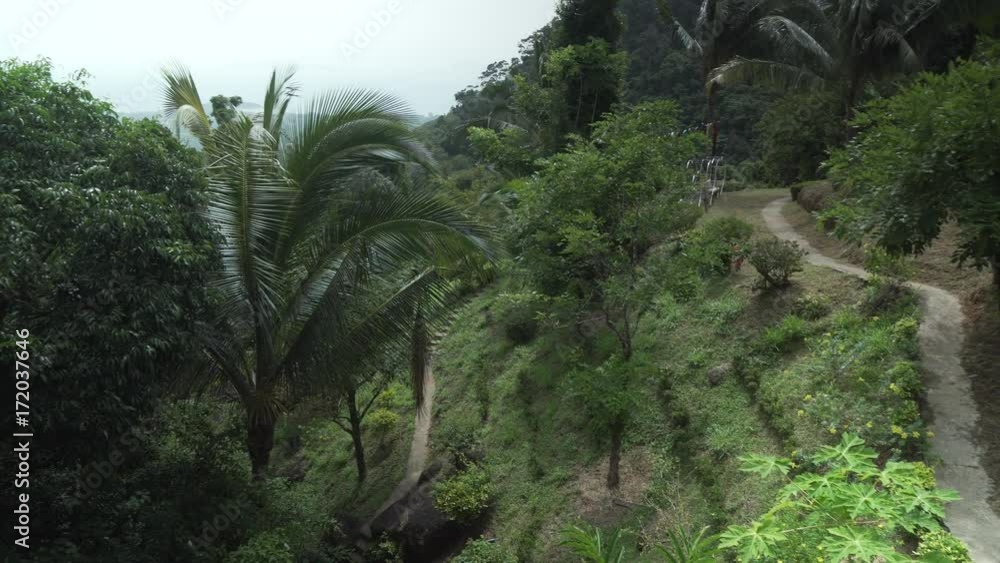 Beautiful tropical vegetation of Paradise Park Farm Samui stock footage video Beautiful tropical vegetation of Paradise Park Farm Samui stock footage video