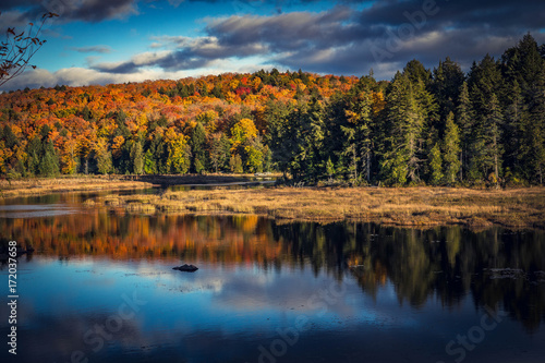 Fall trees with reflection in the lake