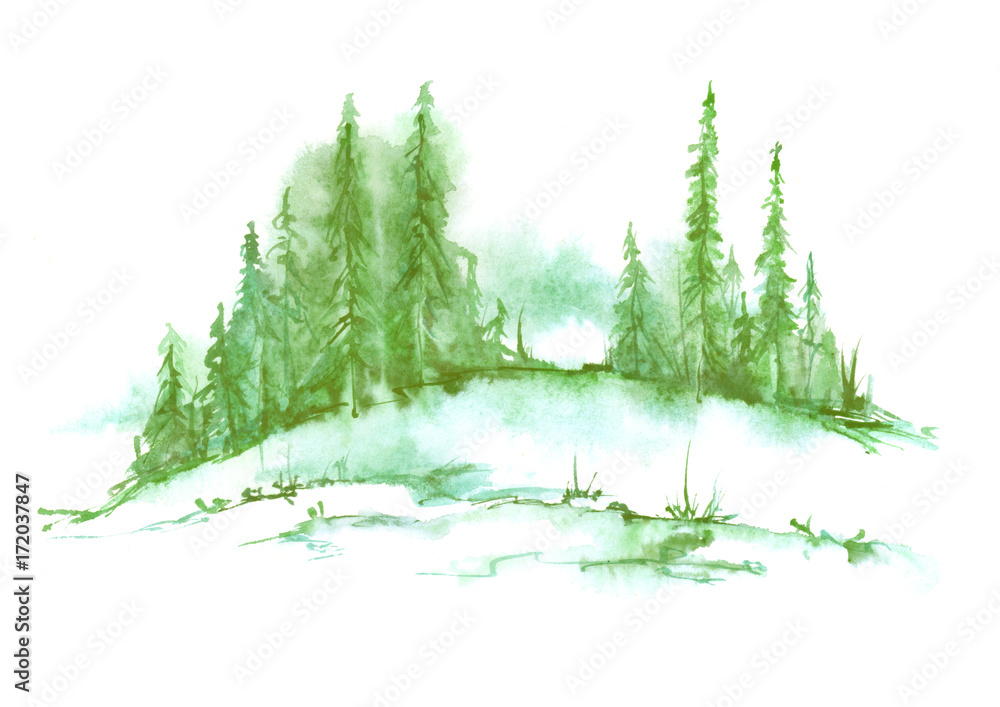 Fototapeta premium Watercolor landscape, picture. Picture of a pine forest, a green silhouette of trees and bushes on a white isolated background.