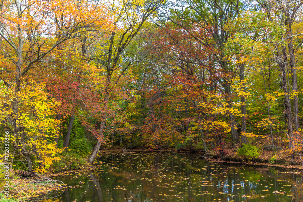 River full of fallen leave during fall foliage in New England