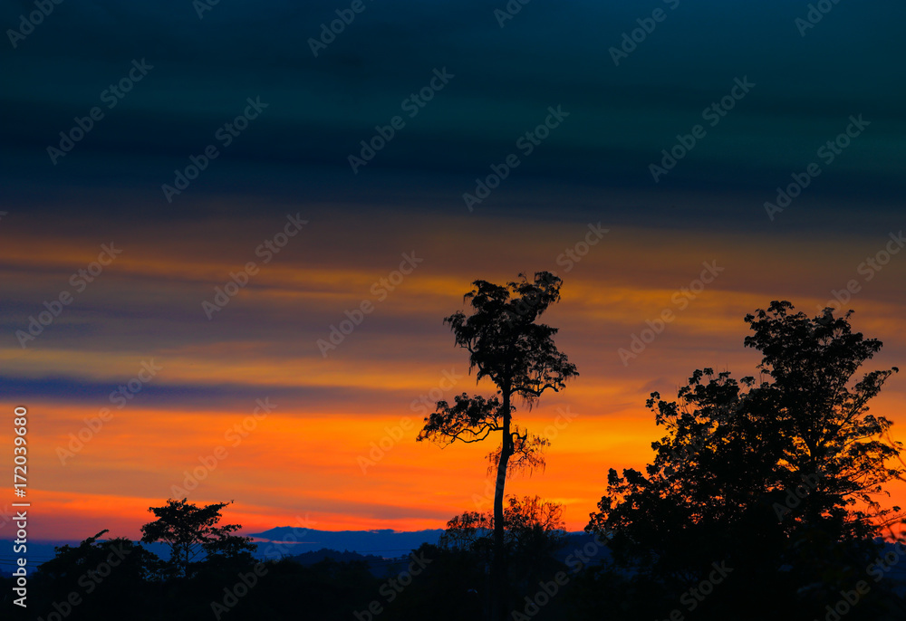 Halloween day background with sunset in sky and silhouette tree   evening nature twilight time beautiful