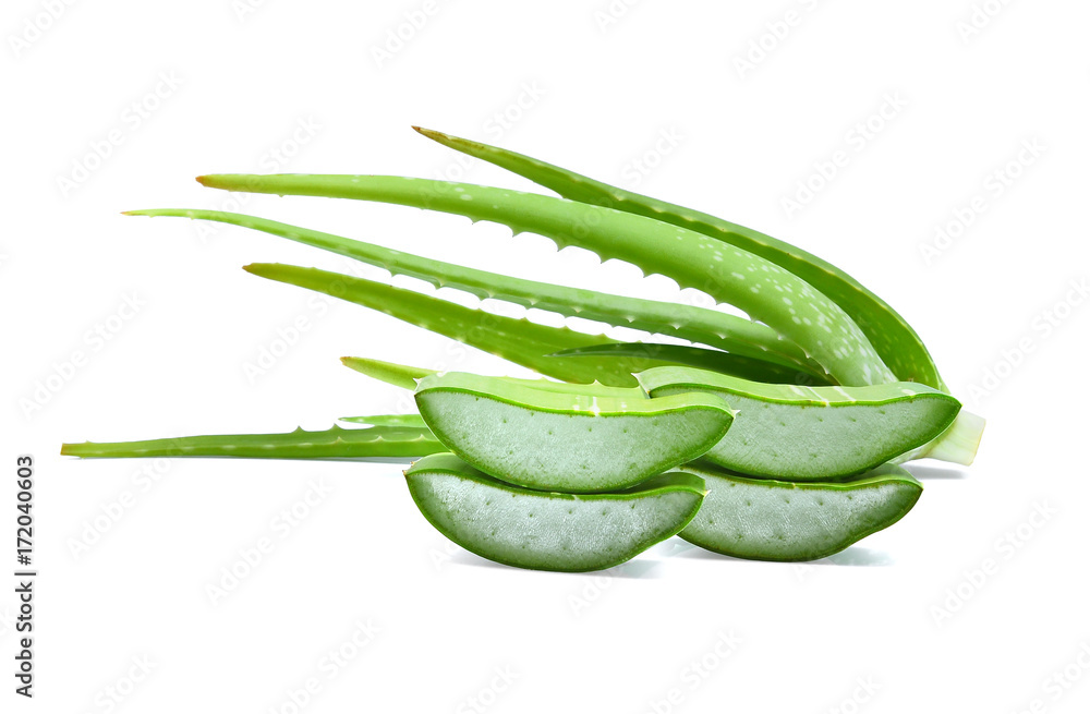 green fresh aloe vera leaf isolated on white background green fresh aloe vera leaf isolated on white background
