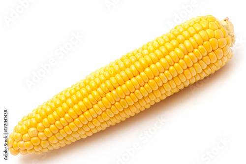 corn on the cob isolated on white background