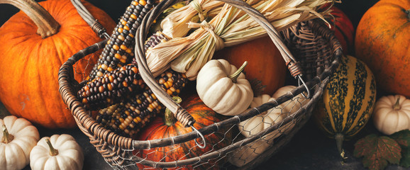 Pumpkins and corn in the basket, close-up