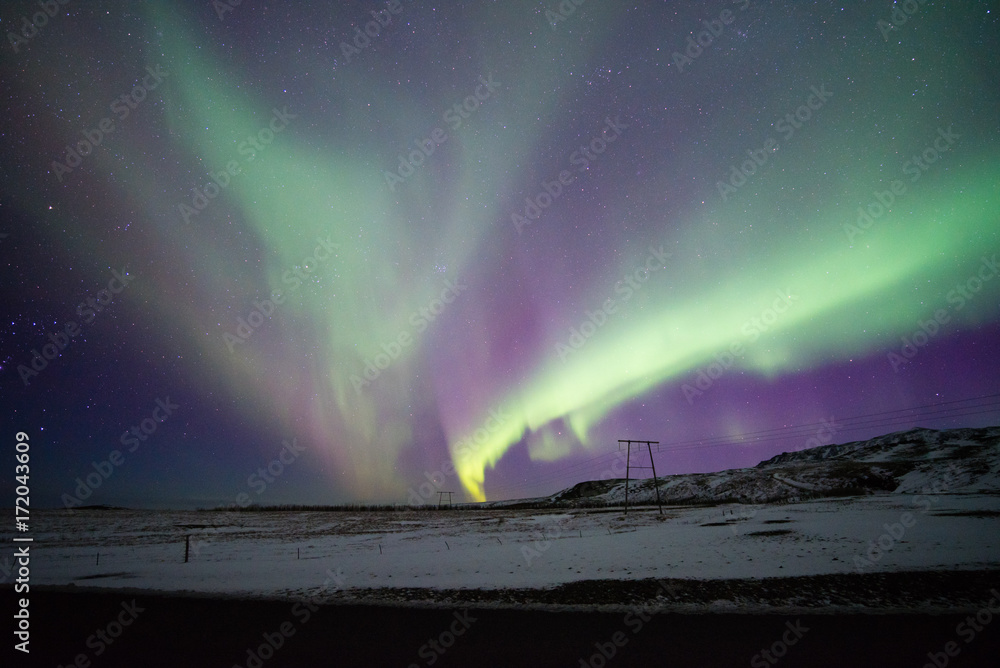northern lights appear over sky in winter.