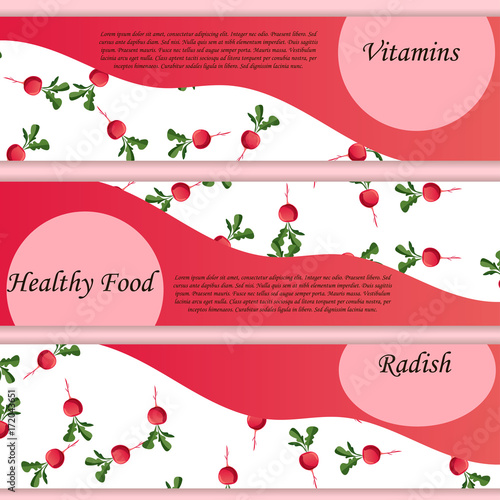 Thin line radish design, Vegetable food banner. photo