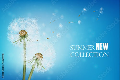 Realistic Wither Dandelion With Flying Seeds