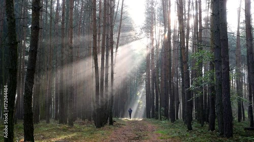 Young man running at sunrise at foggy forest