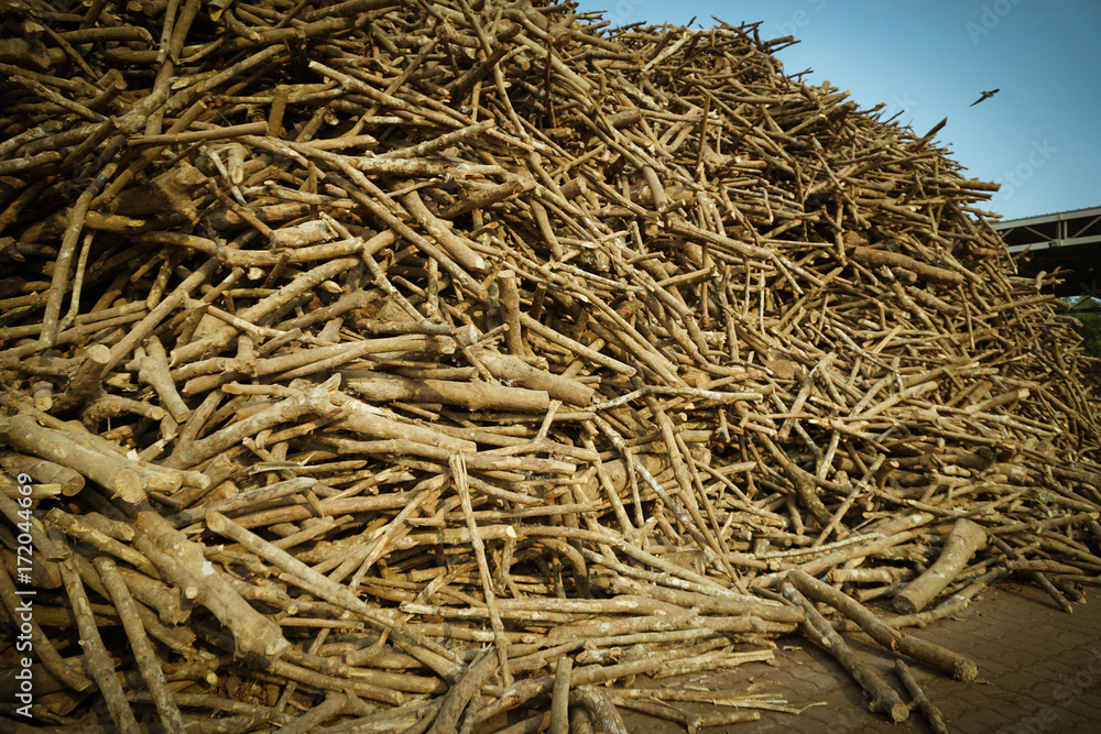 Bunches of mountain wood log materials Bunches of mountain wood log materials