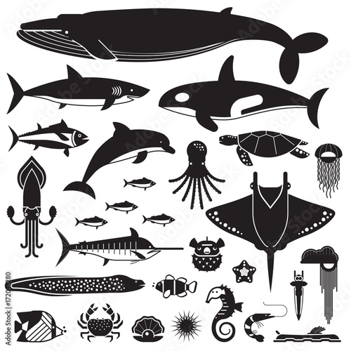 Underwater animals and sea creatures icons. Ocean and marine fishes and other aquatic life silhouette collection. Vector illustration of blue whale, devilfish, dolphin, orca, octopus, mollusks.