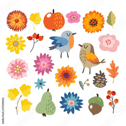 Set of cute hand-drawn autumn, fall elements. Birds and various flowers, fruit and leaves collection. Isolated vector illustrations, objects. Flat design.