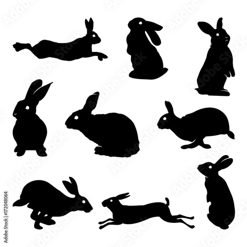 rabbit silhouette