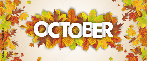 Autumn Foliage Fall Header October