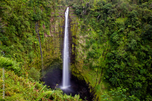 Die Akaka Falls im Akaka Falls State Park auf Big Island, Hawaii, USA. © DirkR