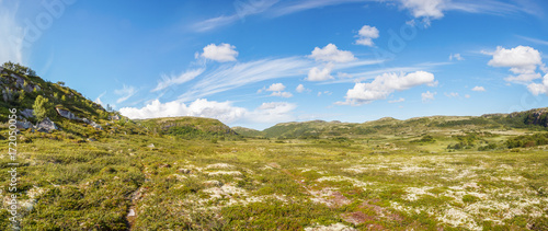 Bright colors of moss, stones and sky in the tundra