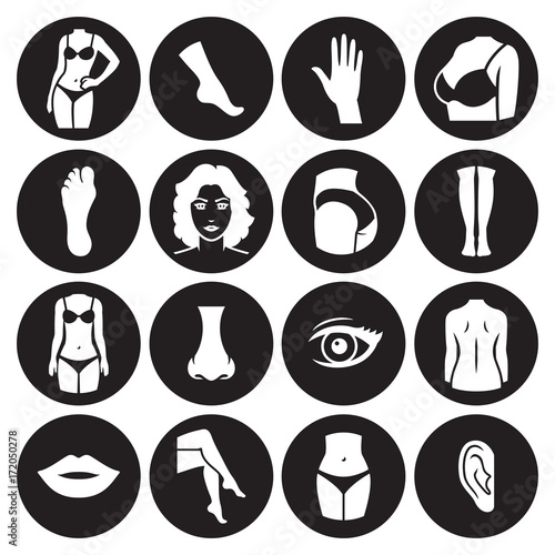 Human body parts icons