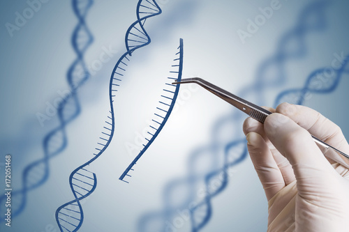 Genetic engineering, GMO and Gene manipulation concept. Hand is inserting sequence of DNA. photo