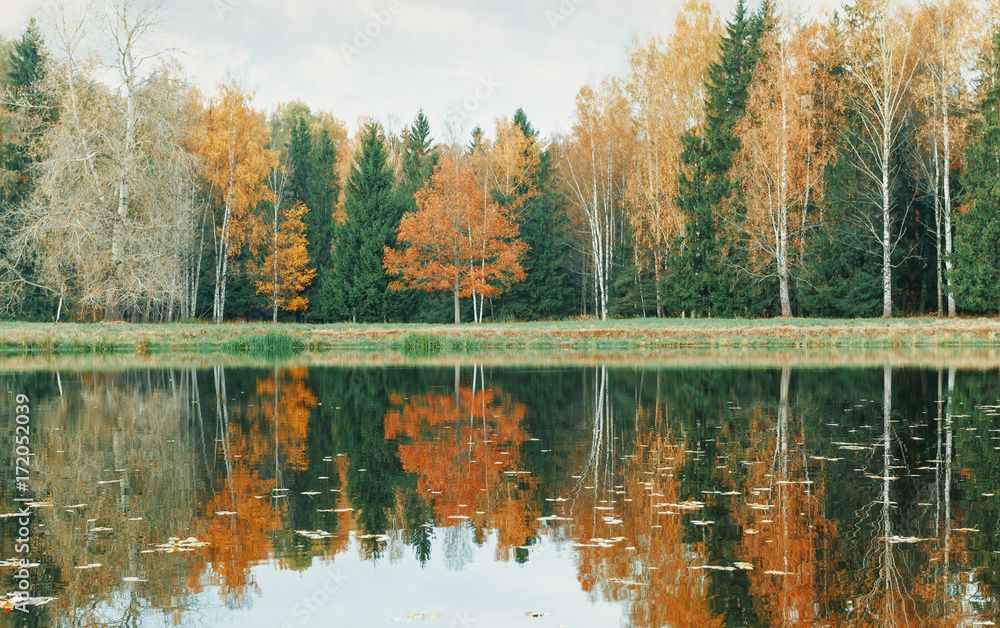 Fototapeta premium Autumn forest and lake.