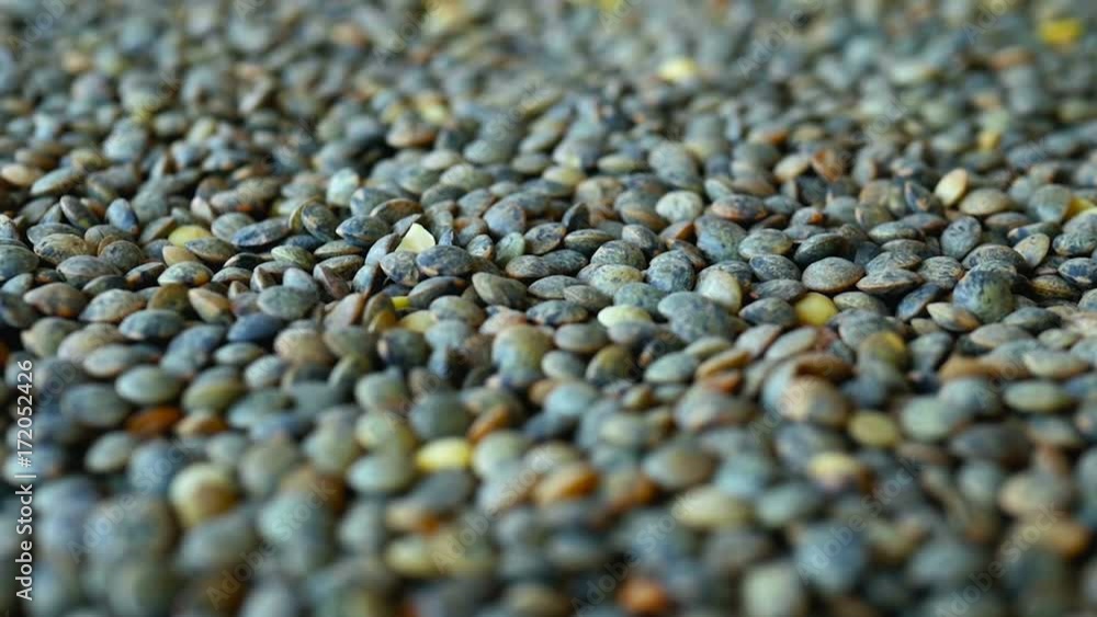French green lentils rotate with soft focus. Background of organic food French green lentils rotate with soft focus. Background of organic food