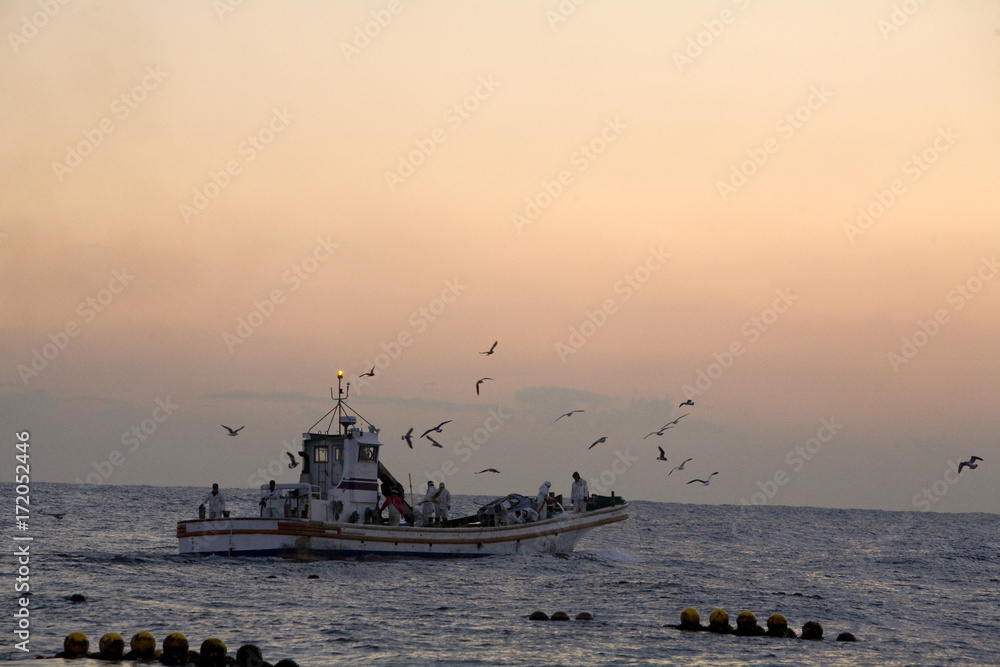 夜明けの漁船とカモメ