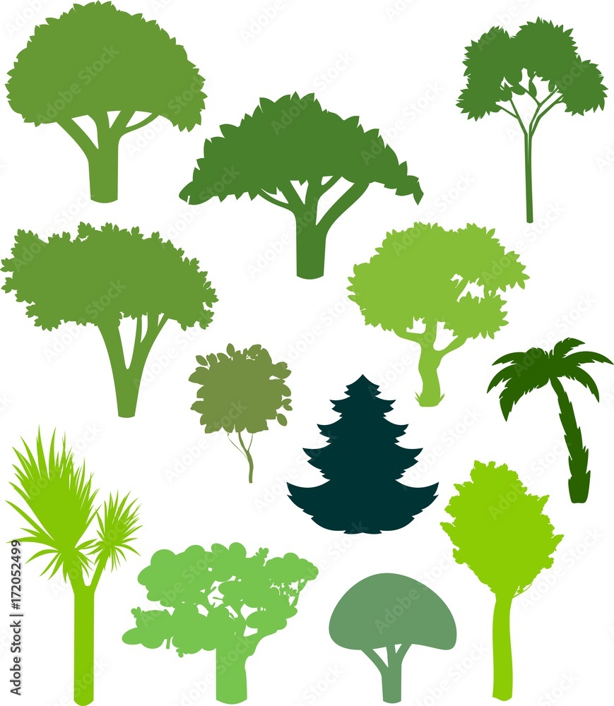 Silhouettes of deciduous and coniferous trees Silhouettes of deciduous and coniferous trees