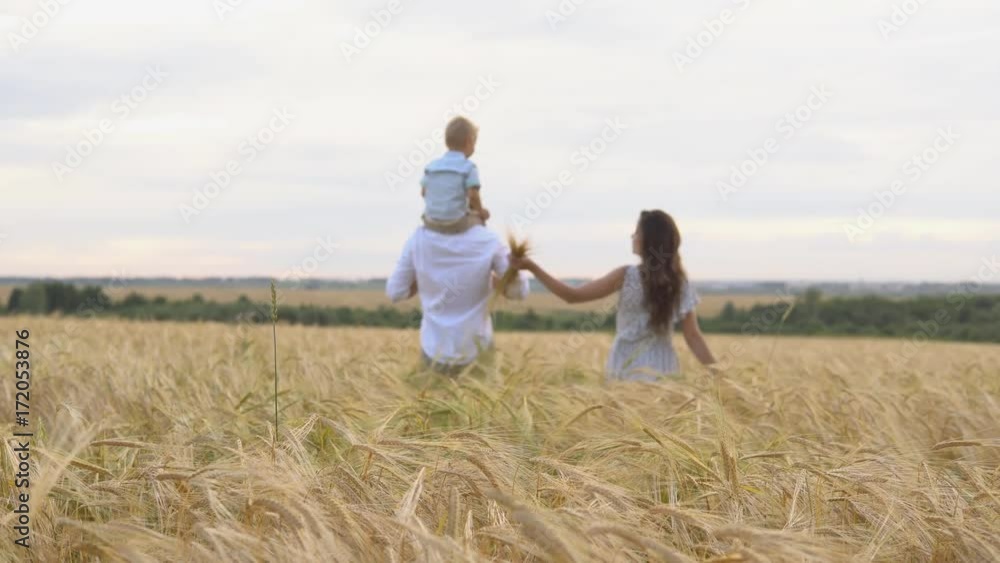 Happy childhood, family walking on the wheat field Happy childhood, family walking on the wheat field