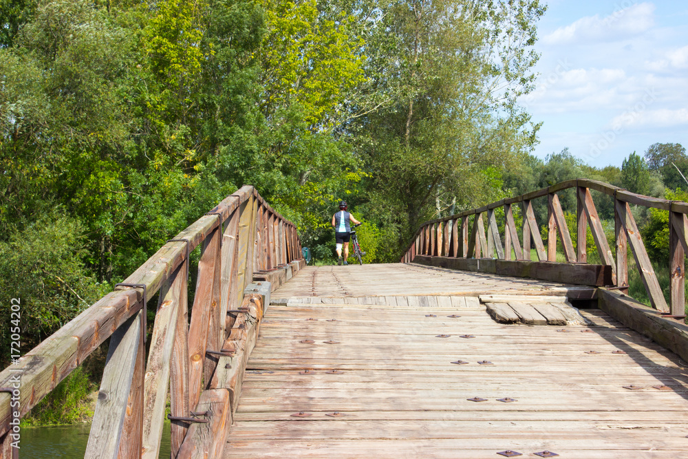 Fototapeta premium Bridge over the Dyje river