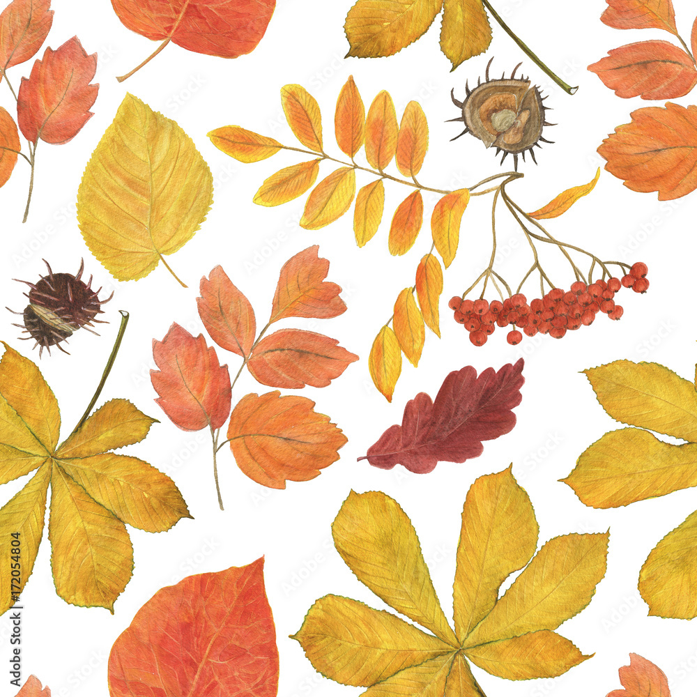 Obraz premium Watercolor painting autumn seamless pattern with yellow, red leaves and rowan berries