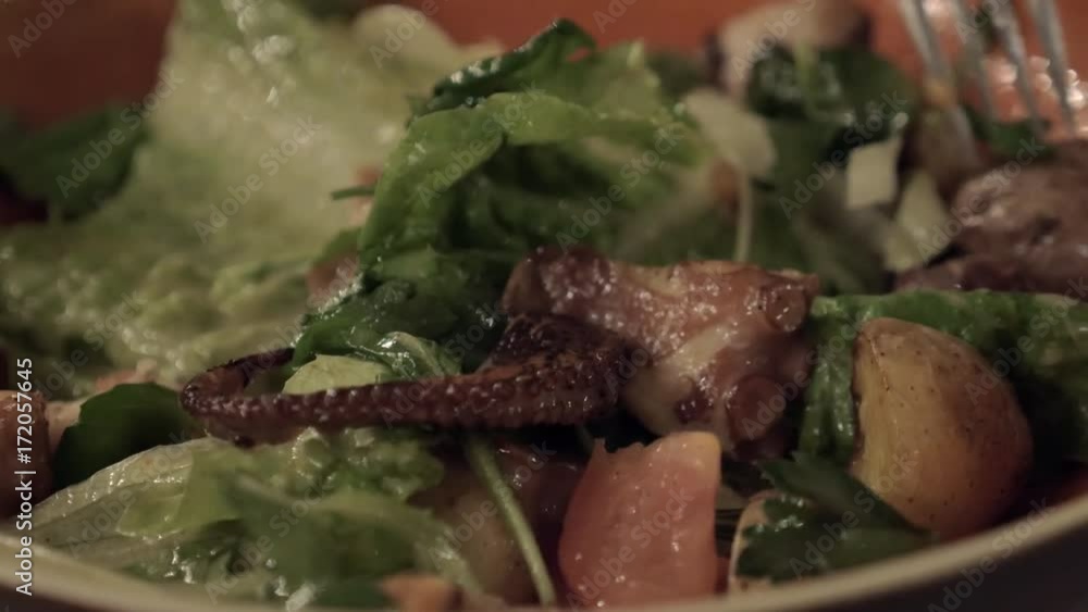 Close-up shot of having meal with octopus and vegetable salad. Restaurant appetizer Close-up shot of having meal with octopus and vegetable salad. Restaurant appetizer