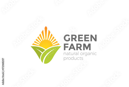 Green Natural Organic Farm Logo vector. Sun Leaves rhombus icon