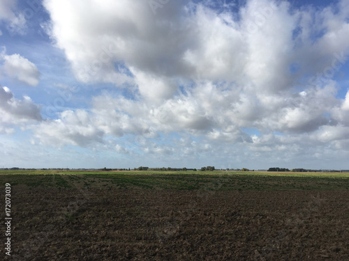 Farmland in Lithuania