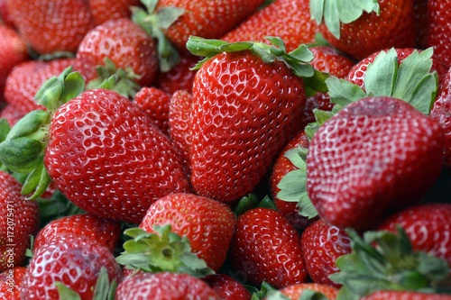 Obraz w ramie Fresas
