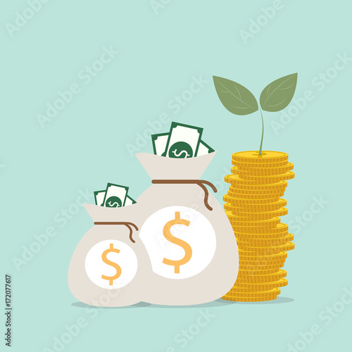 Plant Growing In Savings Coins - Investment And Interest Concept ,Business investment growth concept,with stack money coin