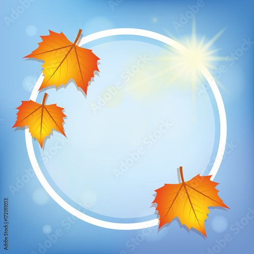 herbstlaub im blauen himmel weißer kreis