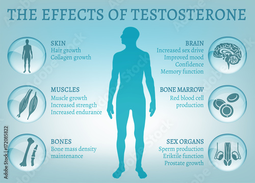 Testosterone Effects Infographics