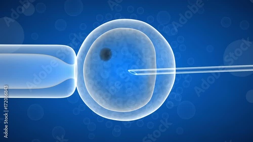 Wallpaper Mural artificial insemination of a female egg. 3d render Torontodigital.ca