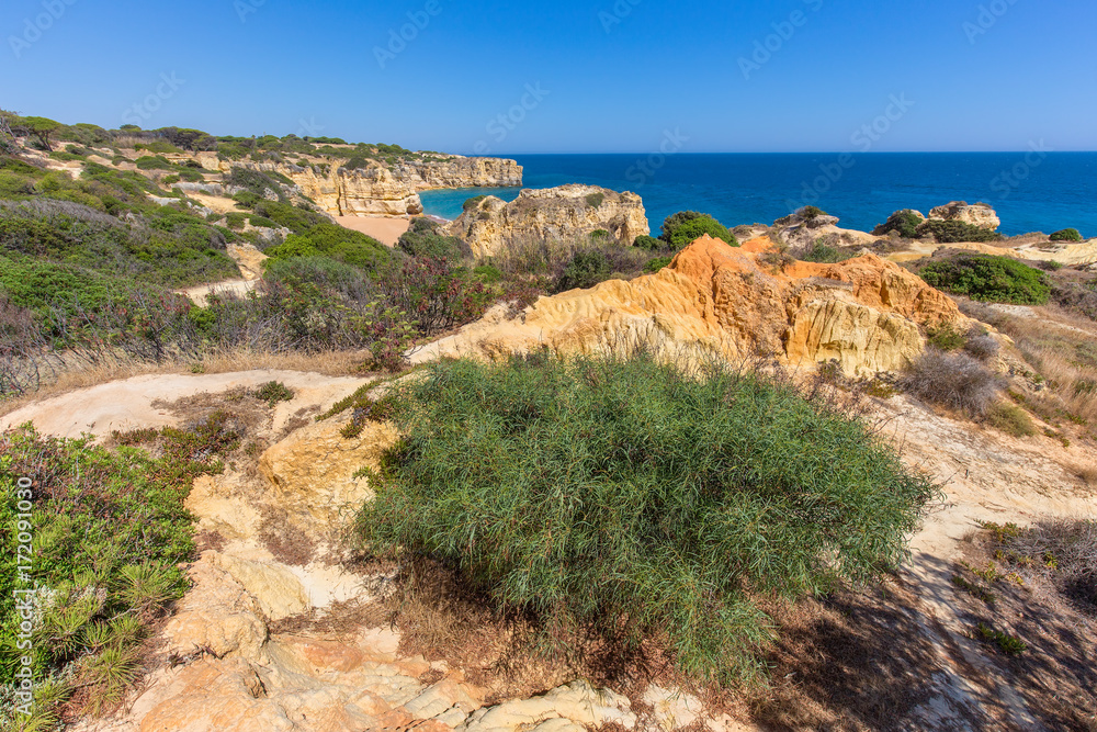Rocky mountains and plants at portuguese coast