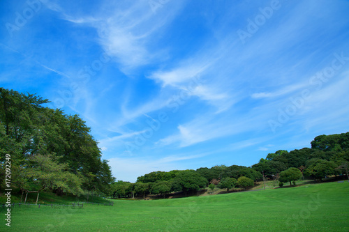 根岸森林公園