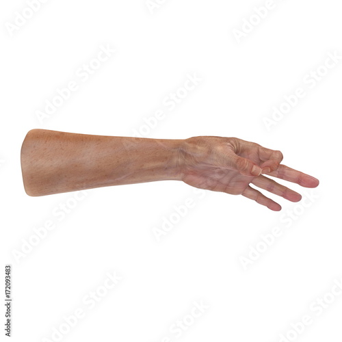 Senior hands on a white. 3D illustration