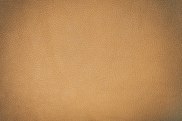 light brown lether detail