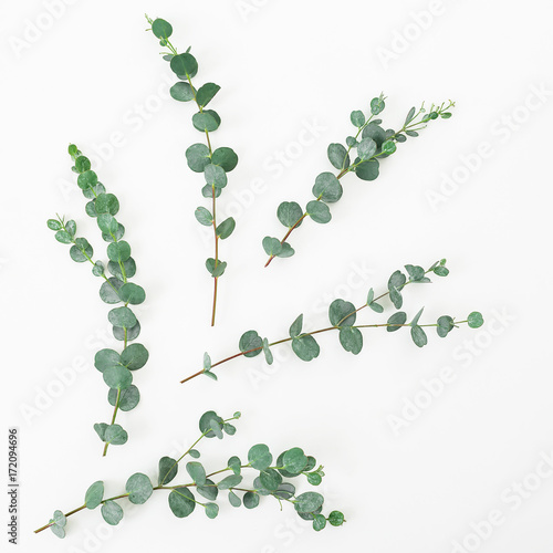 Floral layout made of eucalyptus branches on white background. Flat lay, top view