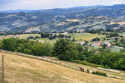 Summer landscape near Serramazzoni (Modena, Italy)