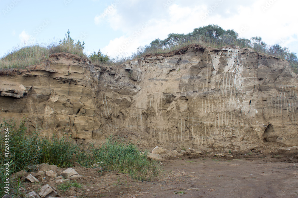 Fototapeta premium swallow's nest