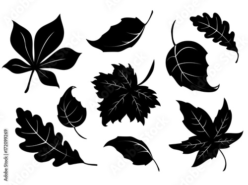 Stamps of autumn leaves