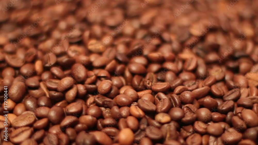 The Coffee Beans The Coffee Beans