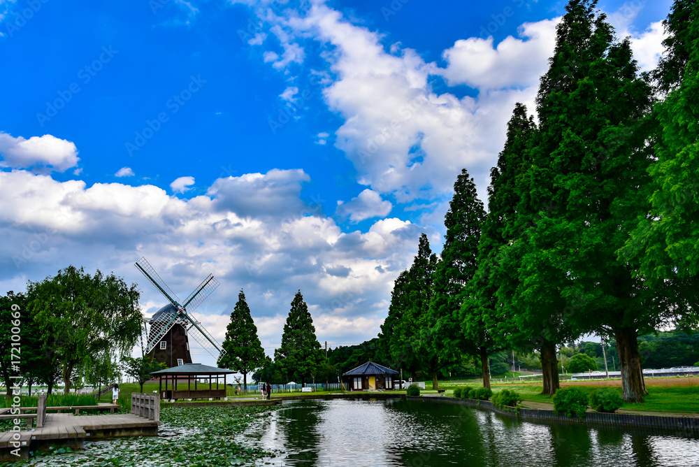 Fototapeta premium 風車と空