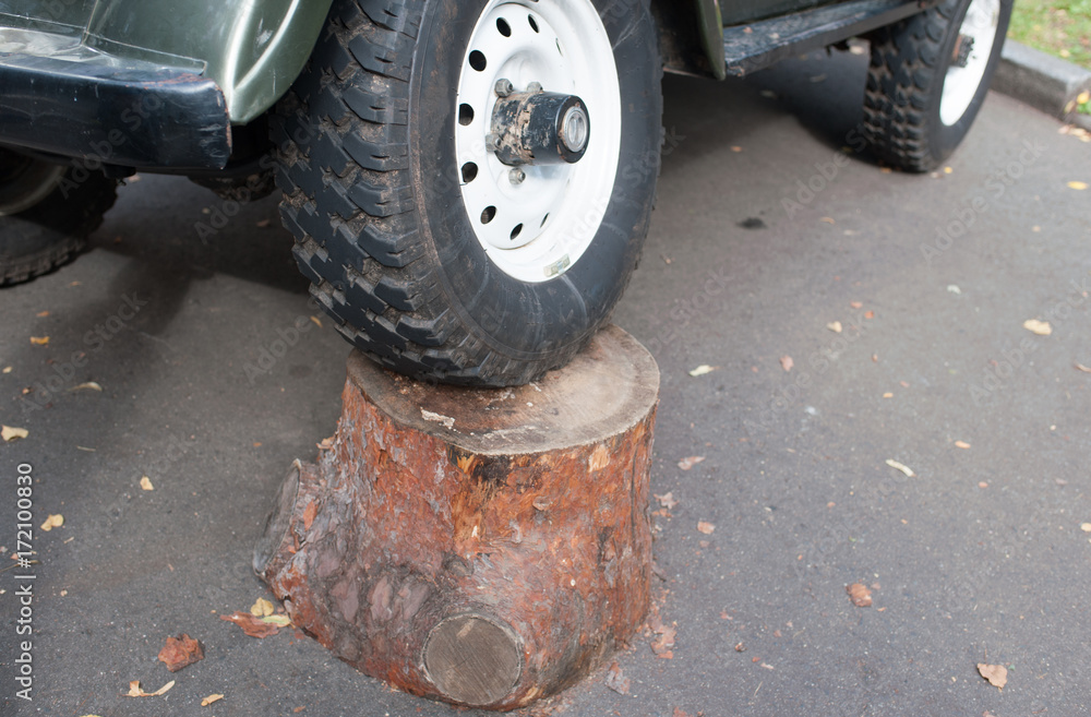 The wheel of a car on a tree stump.