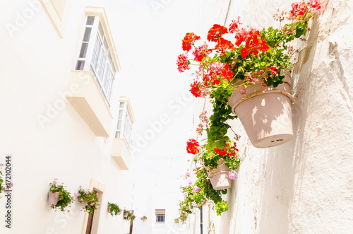 Fototapeta Naklejka Na Ścianę i Meble -  Andalusian decorative plantpots with red an pink geraniums hanging on the walls of the street