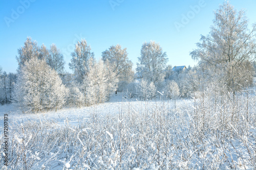 rural winter snowy landscape with forest,field,village and blue sky.